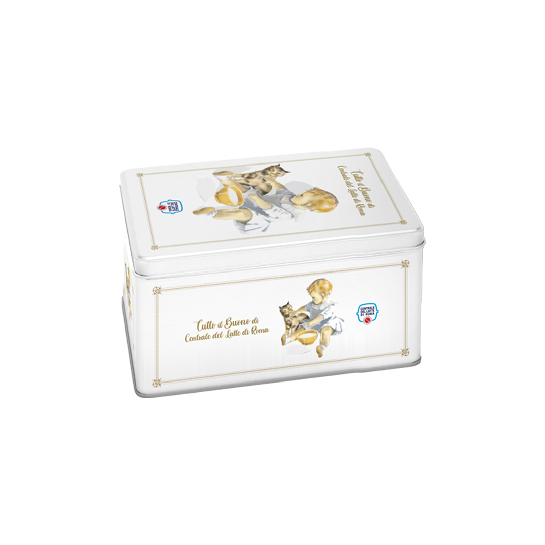 Plumcake yogurt in scatola di latta